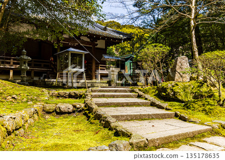 京都府醍醐寺景色 135178635