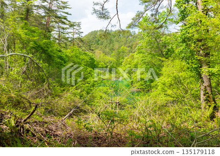 福島裡磐梯的初夏:五色沼湖與沼澤的清新綠意,龍沼 福島裡磐梯的初夏:五色沼湖與沼澤的清新綠意,龍沼 135179118
