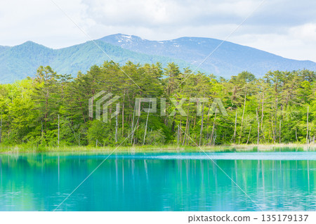 Early summer in Fukushima Urabandai: The fresh greenery of the Goshikinuma Lakes and Ponds, Benten Pond 135179137