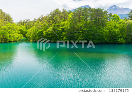 Early summer in Fukushima Urabandai: Fresh greenery at Lake Bishamon and the Goshikinuma Lake Group Early summer in Fukushima Urabandai: Fresh greenery at Lake Bishamon and the Goshikinuma Lake Group 135179175