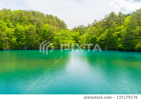 Early summer in Fukushima Urabandai: Fresh greenery at Lake Bishamon and the Goshikinuma Lake Group Early summer in Fukushima Urabandai: Fresh greenery at Lake Bishamon and the Goshikinuma Lake Group 135179176