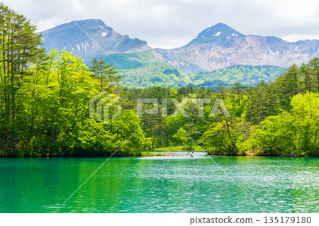 福島縣貘磐台的初夏：五色沼湖、毘沙門湖和磐台山的新鮮綠意。 135179180
