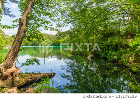 福島裡磐梯的初夏：毘沙門湖和五色沼湖群的翠綠景色 135179189