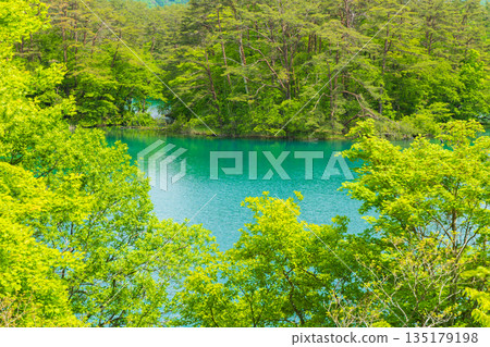 Early summer in Fukushima Urabandai: Fresh greenery at Lake Bishamon and the Goshikinuma Lake Group Early summer in Fukushima Urabandai: Fresh greenery at Lake Bishamon and the Goshikinuma Lake Group 135179198