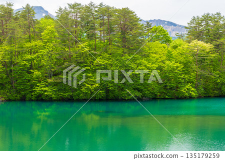 Early summer in Fukushima Urabandai: Fresh greenery at Lake Bishamon and the Goshikinuma Lake Group 135179259