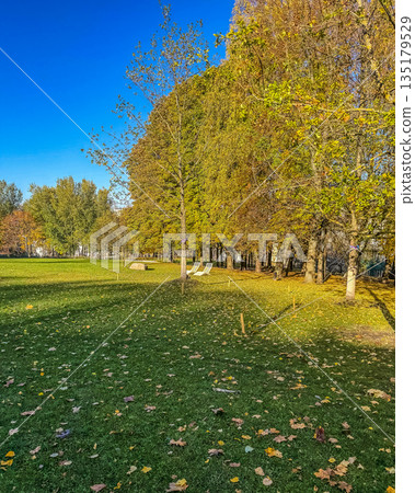 Relaxing Autumn Day in a Sunny Park 135179529