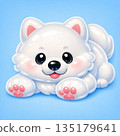 Samoyed lying down 135179641