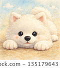 Samoyed lying down 135179643