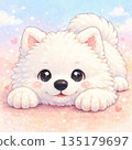 Samoyed lying down 135179697
