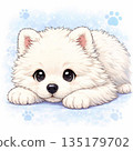 Samoyed lying down 135179702