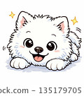Samoyed lying down 135179705