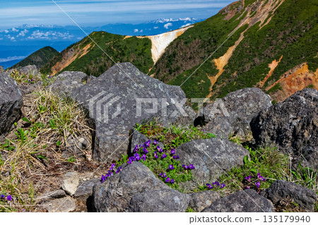 Akaiwanotoge and the remaining snow on the Yatsugatake mountain range, seen from the ridge of Mt. Io, Mt. Norikura, and the Yari and Hotaka mountain ranges Akaiwanotoge and the remaining snow on the Yatsugatake mountain range, seen from the ridge of Mt. Io, Mt. Norikura, and the Yari and Hotaka mountain ranges 135179940