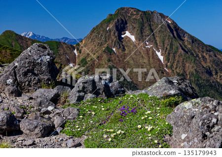 View of the Yatsugatake mountain range and Amida-dake from the ridge of Io-dake, where alpine plants bloom View of the Yatsugatake mountain range and Amida-dake from the ridge of Io-dake, where alpine plants bloom 135179943