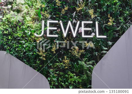 Jewel at Changi Airport Singapore featuring lush greenery and modern design Jewel at Changi Airport Singapore featuring lush greenery and modern design 135180091