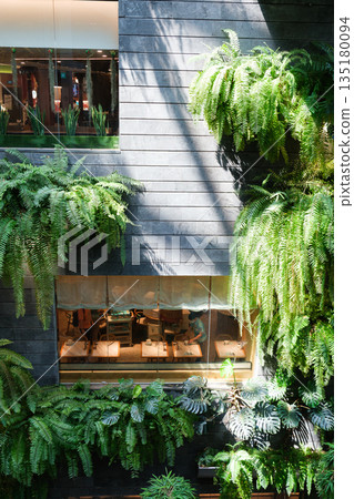 Singapore, Singapore - Lush greenery and modern architecture at Changi Airport indoor garden area Singapore, Singapore - Lush greenery and modern architecture at Changi Airport indoor garden area 135180094