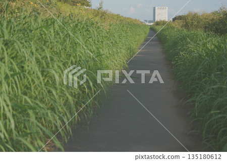 陰沉的道路 陰沉的道路 135180612