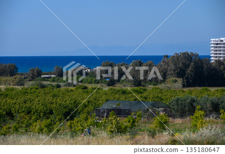 Serene coastal landscape with lush greenery and clear blue waters under a bright sky in a tranquil location 135180647