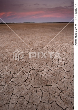 Cracked earth, desertification process, La Pampa Province, Patagonia, Argentina. Cracked earth, desertification process, La Pampa Province, Patagonia, Argentina. 135180754