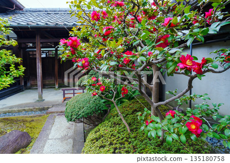 Red flower of flower arrangement Red flower of flower arrangement 135180758