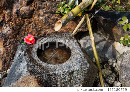 Camellia flowers floating in a water basin Camellia flowers floating in a water basin 135180759