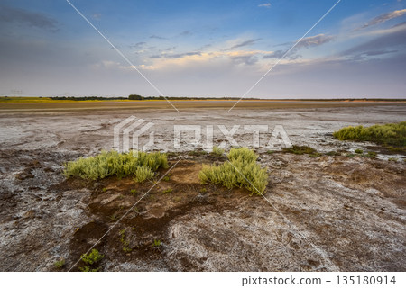 Desert environment in La Pampa province, Patagonia, Argentina. 135180914