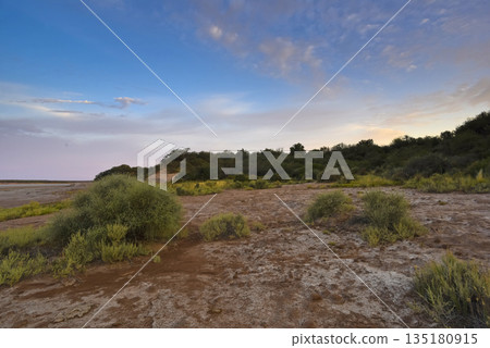 Desert environment in La Pampa province, Patagonia, Argentina. 135180915