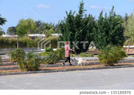 Woman enjoys a sunny stroll with her dog through a lush park on a vibrant afternoon, surrounded by swaying trees and greenery Woman enjoys a sunny stroll with her dog through a lush park on a vibrant afternoon, surrounded by swaying trees and greenery 135180970