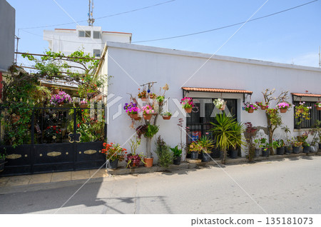 Vibrant flowers adorn a quaint house in a sunny neighborhood during midday Vibrant flowers adorn a quaint house in a sunny neighborhood during midday 135181073