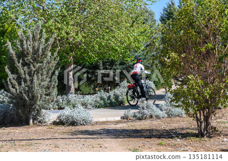 Cyclist enjoying a peaceful ride through lush greenery on a sunny day in a tranquil park setting 135181114