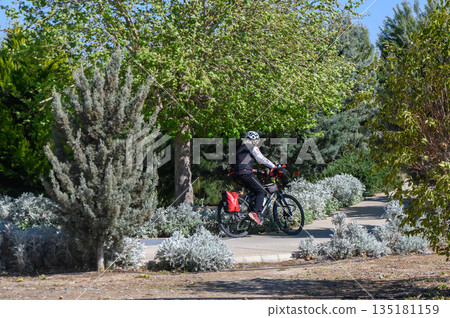 Bicyclist enjoys a sunny day riding through a lush park with vibrant greenery on a pleasant morning 135181159