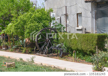 Old wooden cart wheel surrounded by lush greenery in a serene garden setting during a bright sunny day Old wooden cart wheel surrounded by lush greenery in a serene garden setting during a bright sunny day 135181243