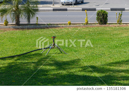 Sprinkler nourishing lush green lawn on a sunny day in a suburban neighborhood near a busy street Sprinkler nourishing lush green lawn on a sunny day in a suburban neighborhood near a busy street 135181306
