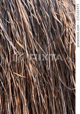 Textures of nature captured in golden sunlight during a warm summer afternoon in a tranquil rural area Textures of nature captured in golden sunlight during a warm summer afternoon in a tranquil rural area 135181475