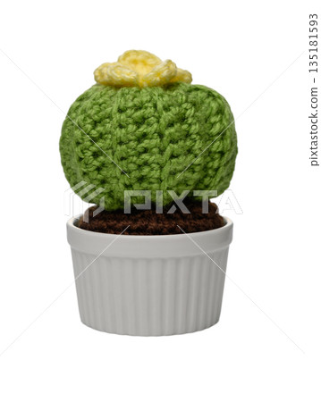 Crochet Amigurumi Cactus Handmade Yarn Craft Crochet Amigurumi Cactus Handmade Yarn Craft 135181593