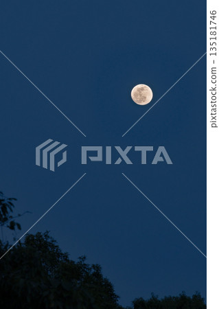 Full moon night view Full moon night view 135181746