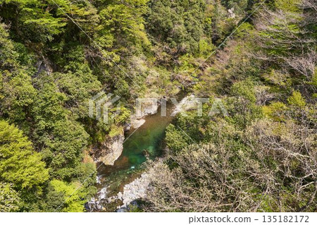 從野原吊橋眺望山梨縣道志村的道志川 從野原吊橋眺望山梨縣道志村的道志川 135182172