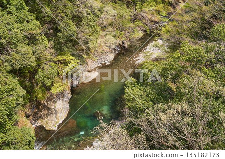 從野原吊橋眺望山梨縣道志村的道志川 從野原吊橋眺望山梨縣道志村的道志川 135182173