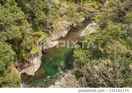 從野原吊橋眺望山梨縣道志村的道志川 從野原吊橋眺望山梨縣道志村的道志川 135182174