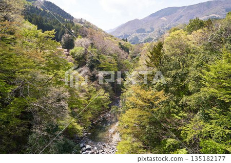 Doshi River seen from Nohara Suspension Bridge, Doshi Village, Yamanashi Prefecture Doshi River seen from Nohara Suspension Bridge, Doshi Village, Yamanashi Prefecture 135182177