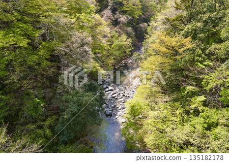 從野原吊橋眺望山梨縣道志村的道志川 從野原吊橋眺望山梨縣道志村的道志川 135182178