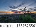 sunrise romantic couple on Corsican coast near Bastia Etang de Biguglia Camping San Daminao Beachside Corse 135182356