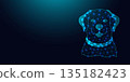 Low poly wireframe labrador retriever dog on dark blue background. 135182423