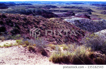 Barren Hostile Landscape Painted Desert Northern Arizona 135182543