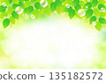 新鮮的綠葉和肥皂泡背景插畫素材 135182572