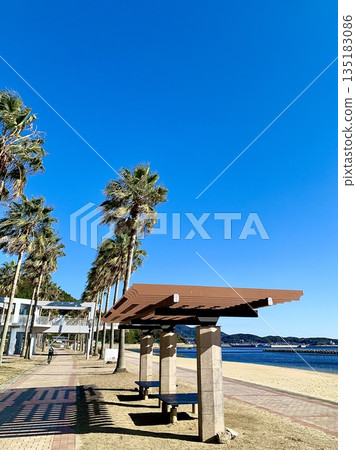 Miyazaki beach where palm trees and pergola roofs stand out against the blue sky (Kira Waikiki Beach/Nishio City, Aichi Prefecture) Miyazaki beach where palm trees and pergola roofs stand out against the blue sky (Kira Waikiki Beach/Nishio City, Aichi Prefecture) 135183086
