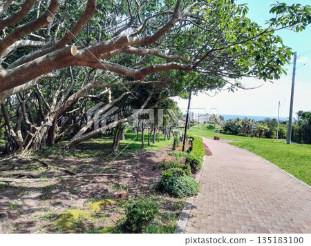 公園裡的長廊，可以俯瞰大海和鬱鬱蔥蔥的樹木。 135183100