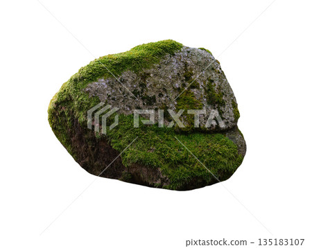 stone overgrown with moss isolated on white background highest detail 135183107