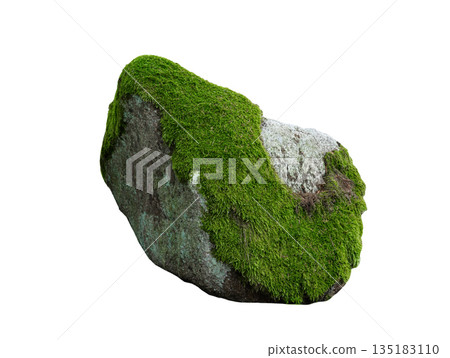 stone overgrown with moss isolated on white background highest detail 135183110