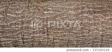 Tree bark creating natural rough wood texture background 135183129
