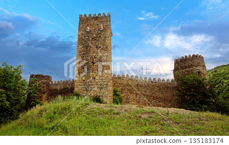 Ananuri fortress georgia historic architecture with stone walls 135183174